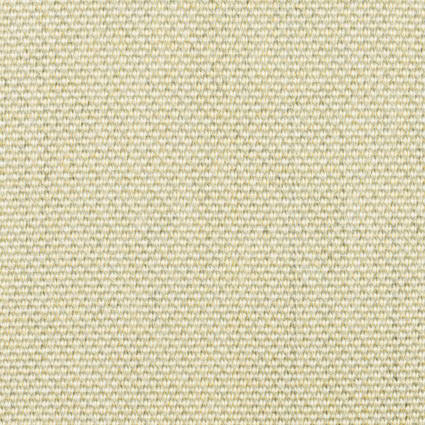 Canvas-3000-col.3307 jnb elvira collection