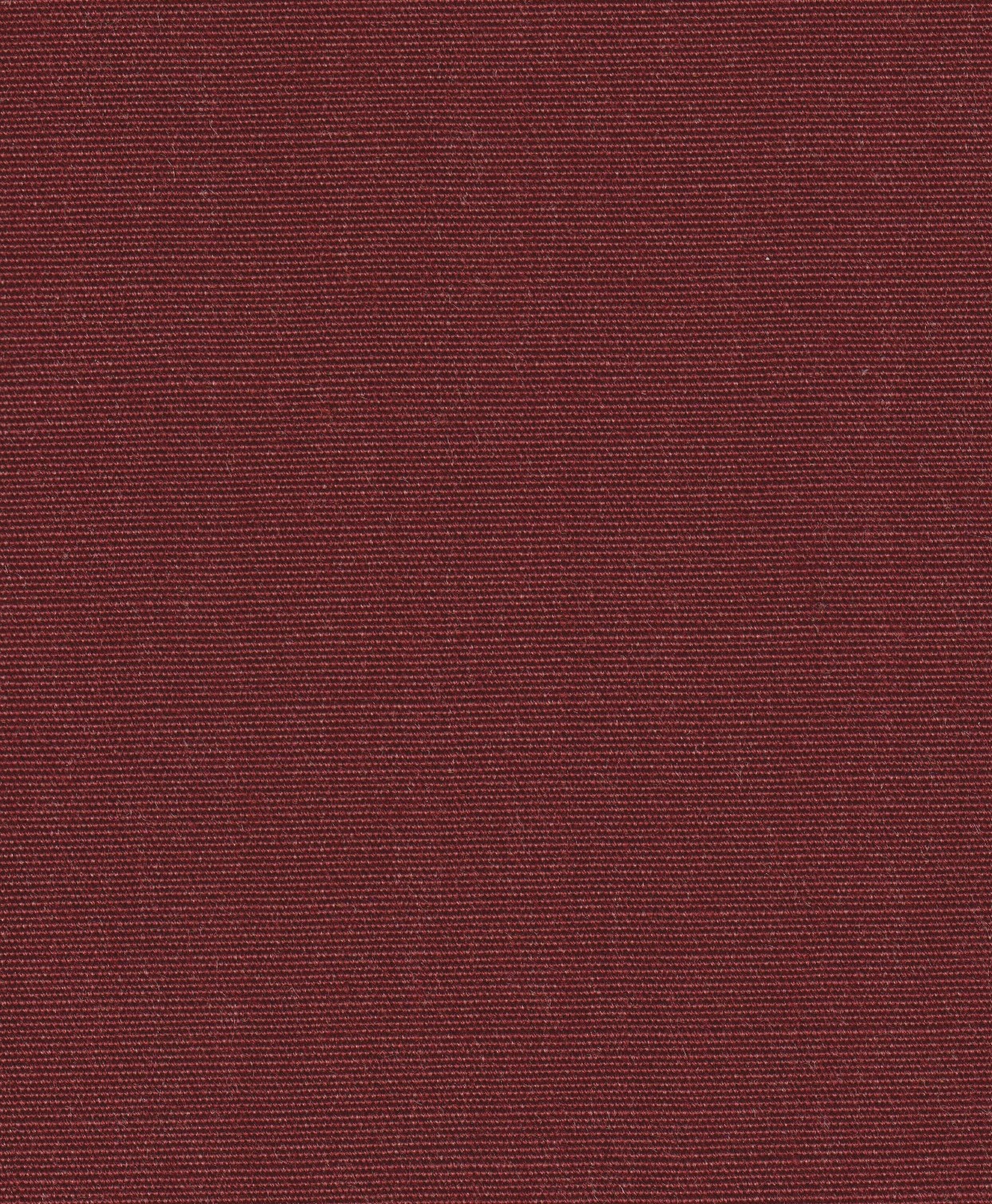 51973-19