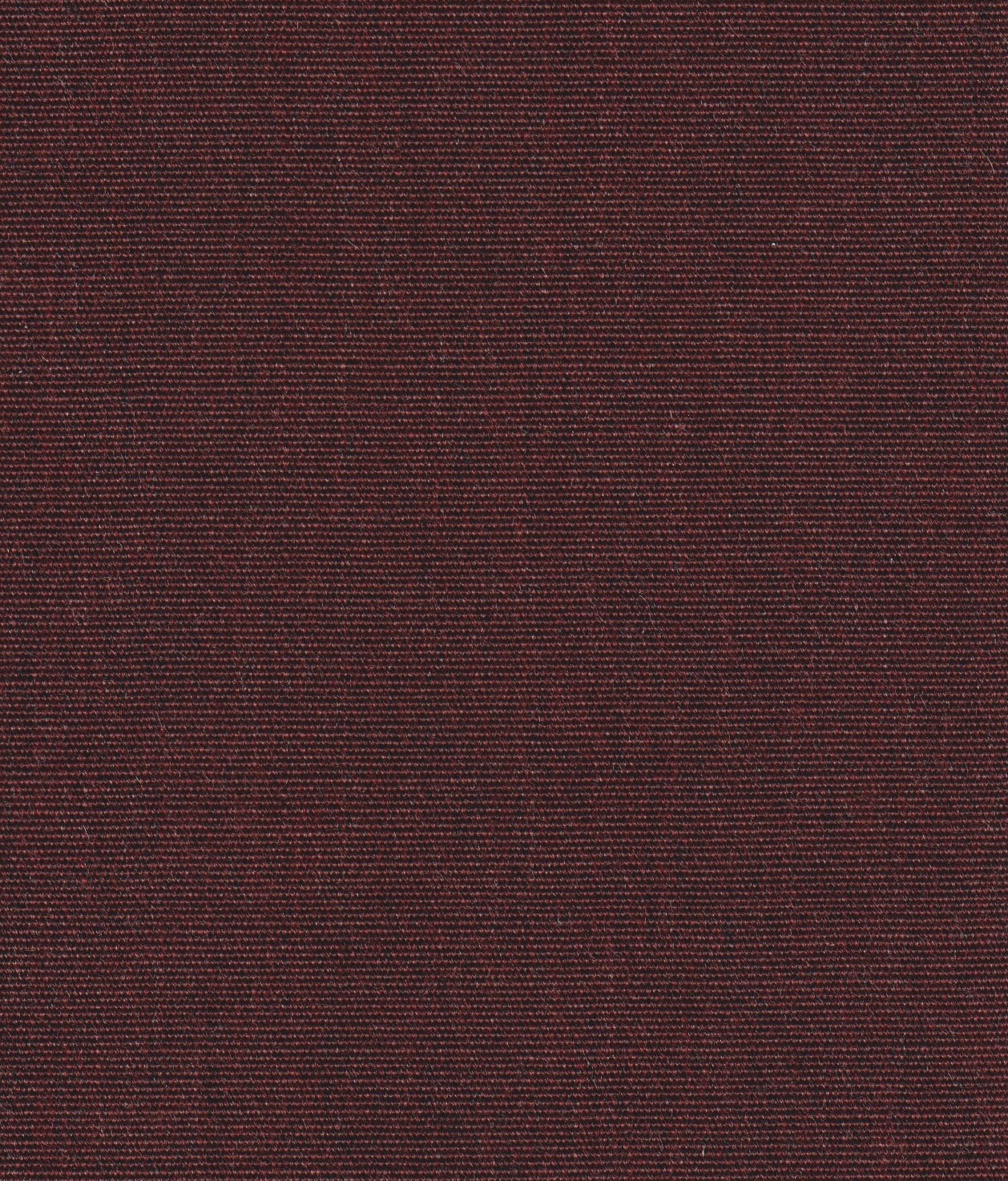 51973-20