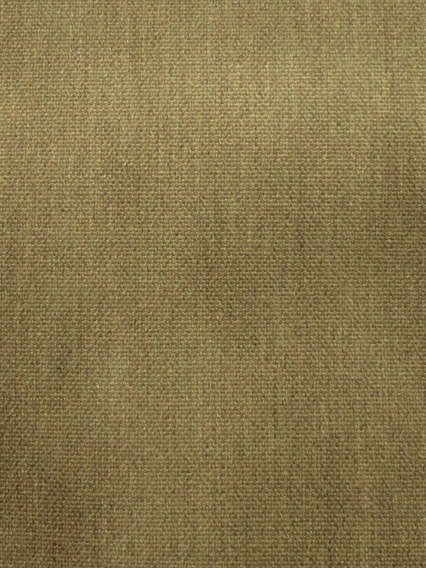 legacy 15000 jnb elvira collection