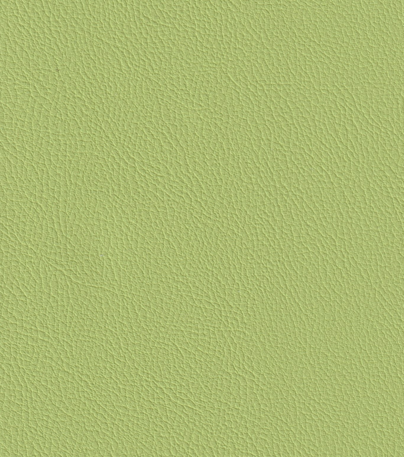 CELERY