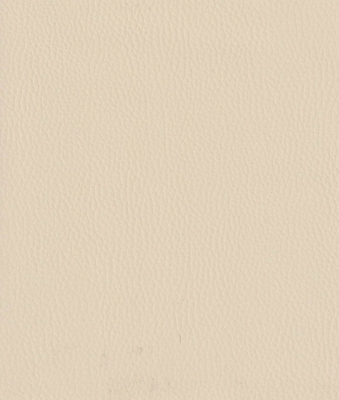 Ivory-300