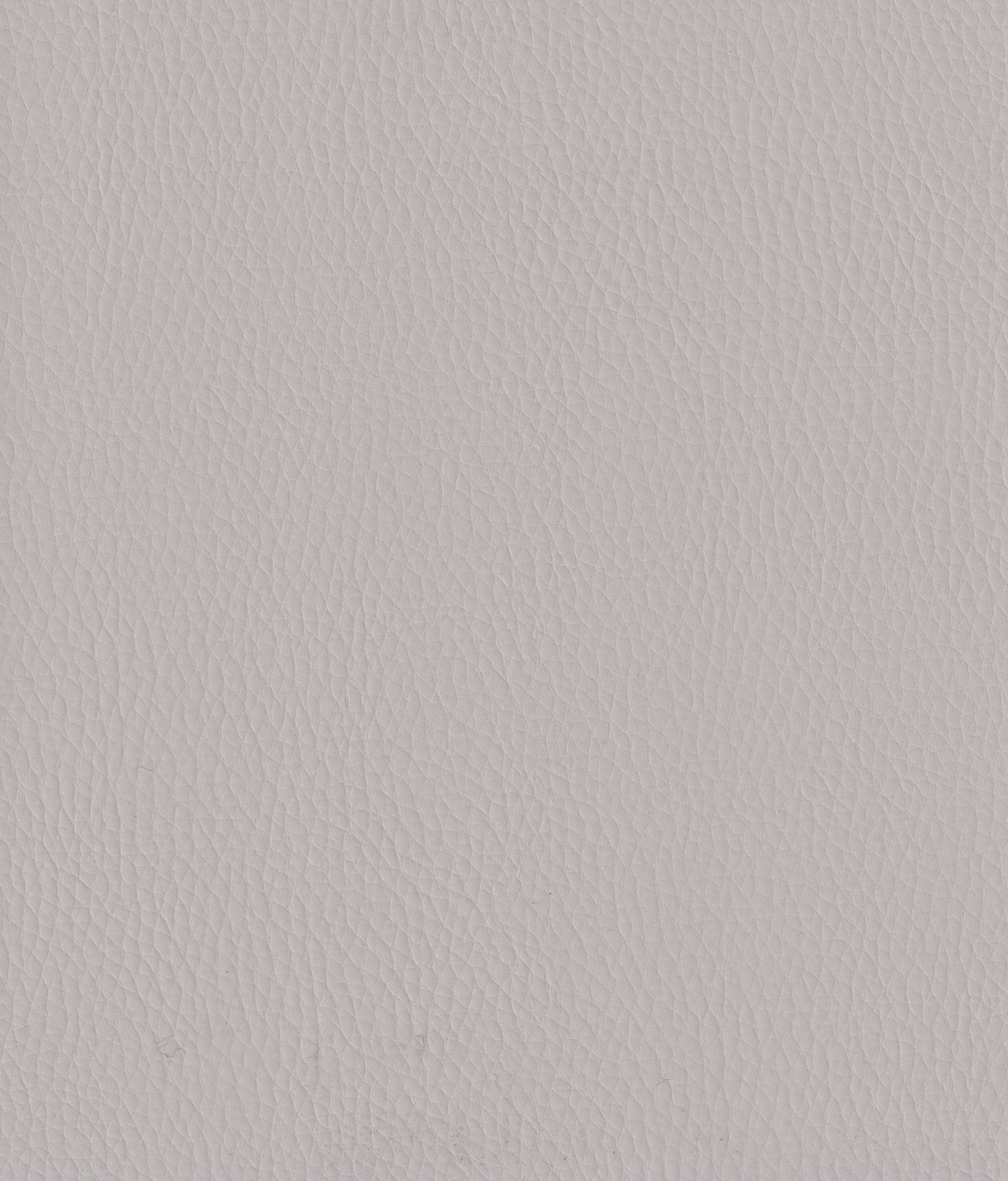Silver-304