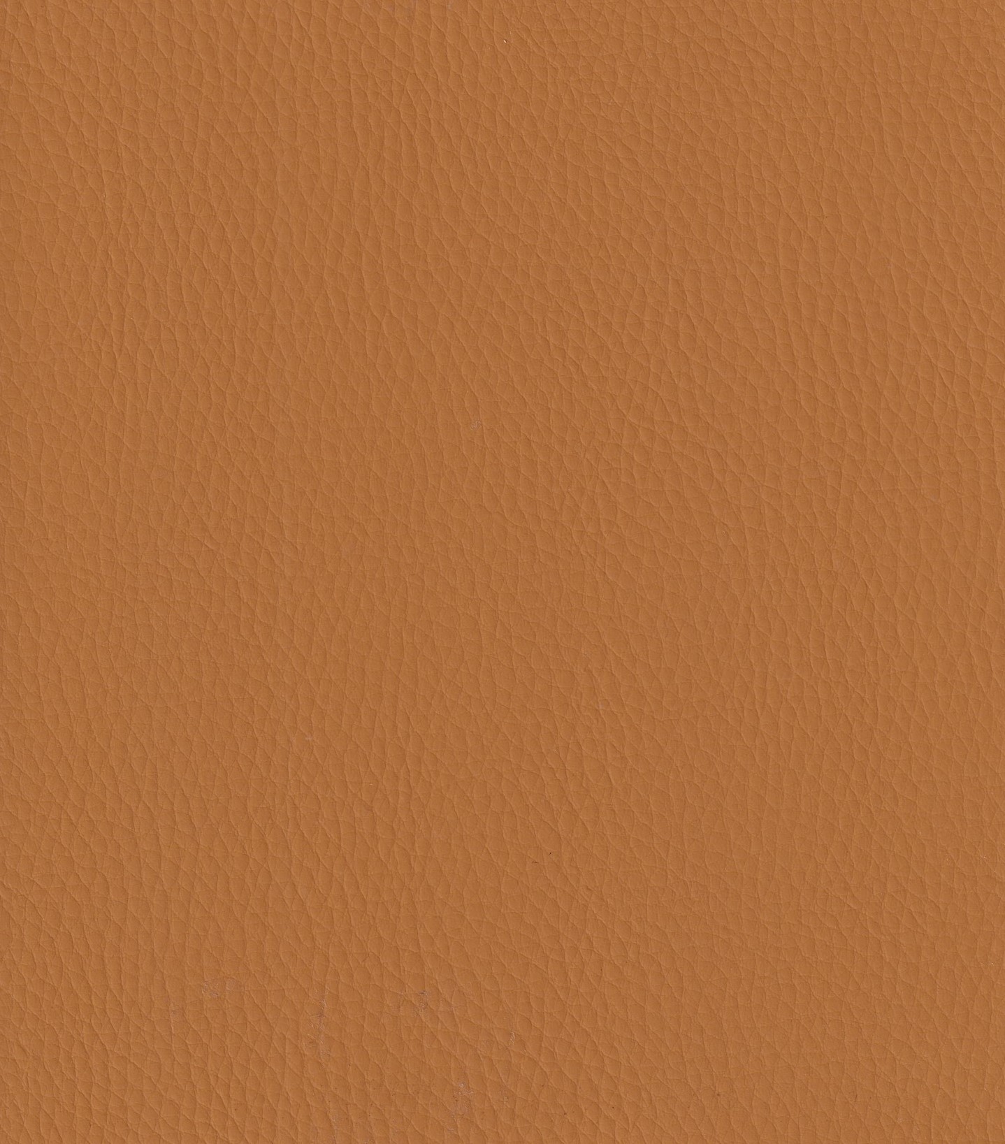 Apricot-307