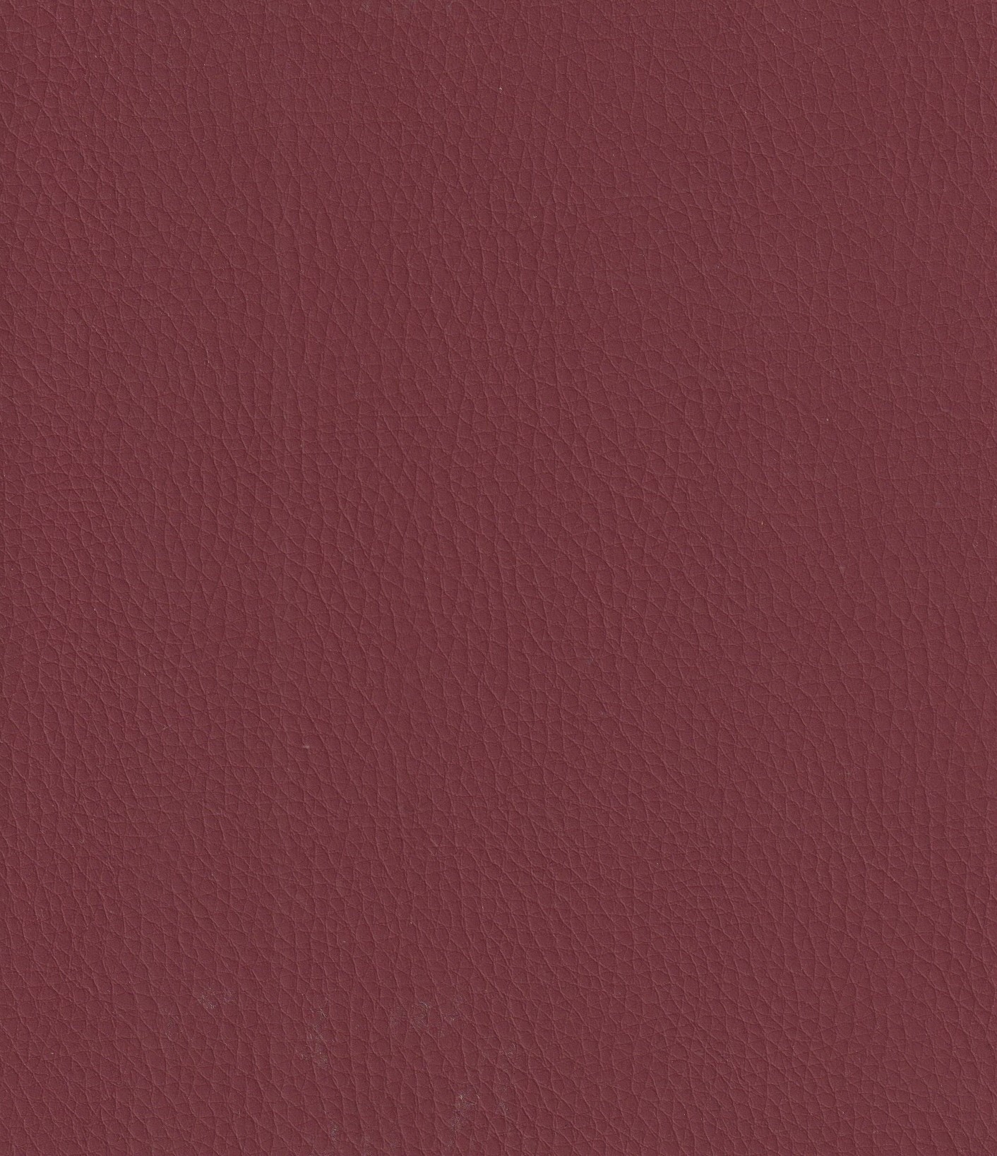 Merlot-312