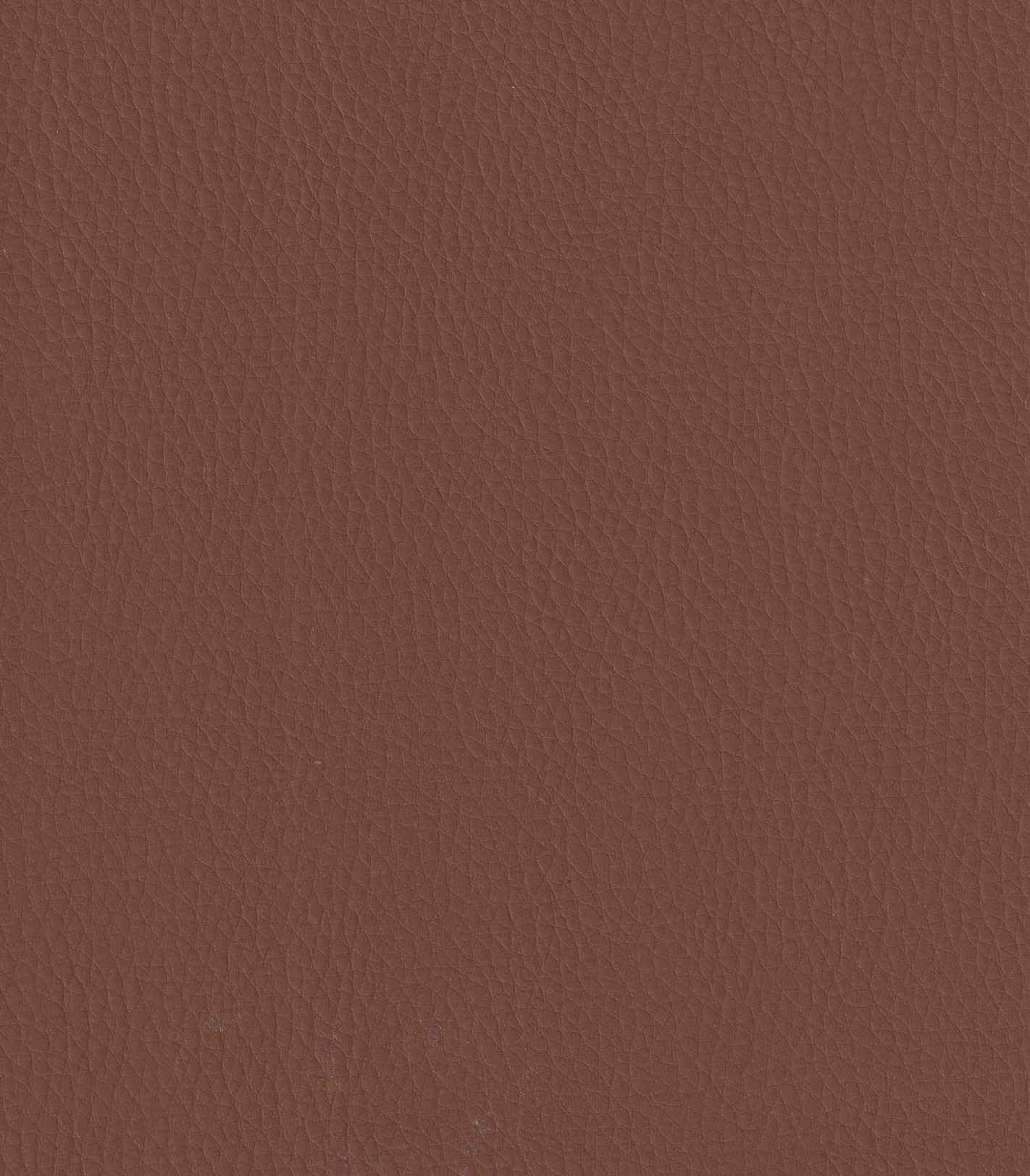 Amber-313