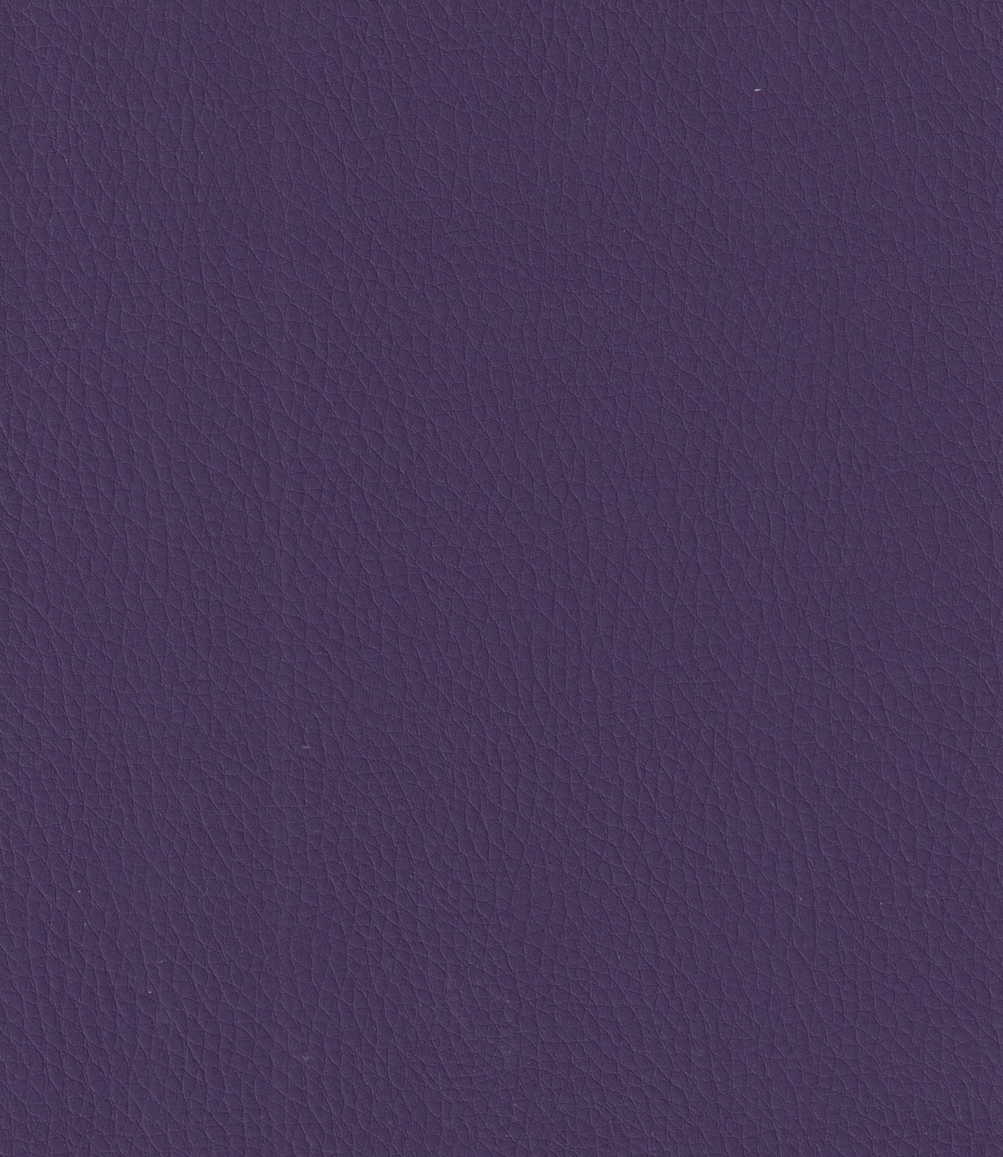 Eggplant-319