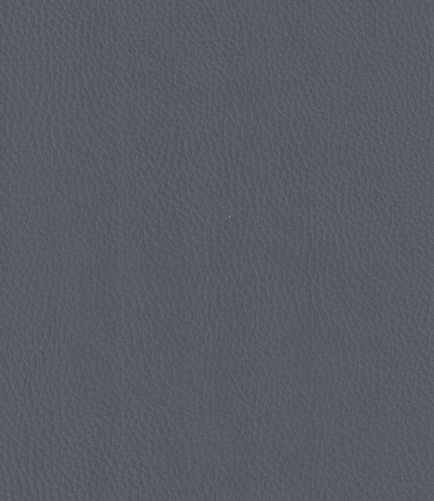 Spruce-329