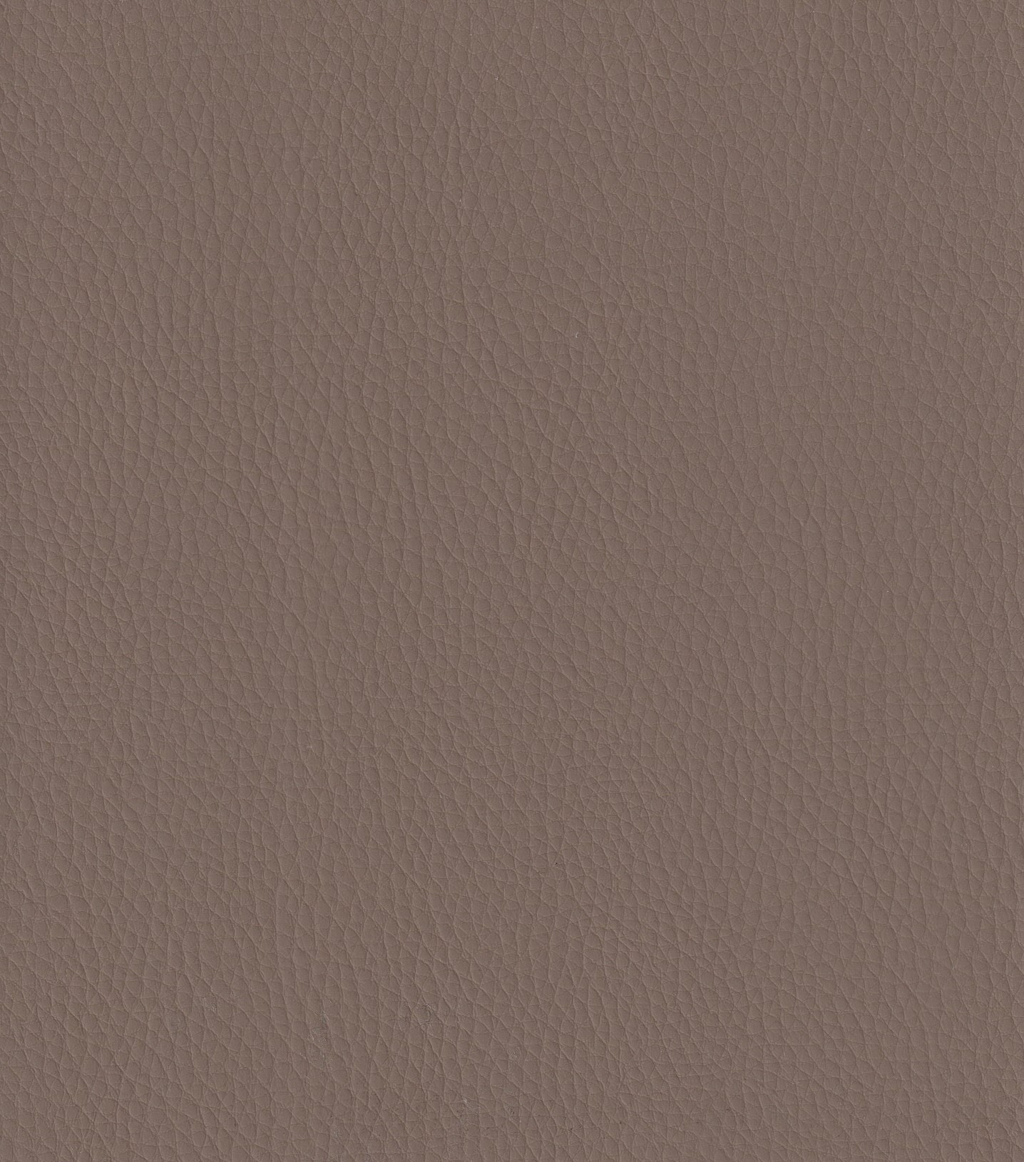 Cedar-371