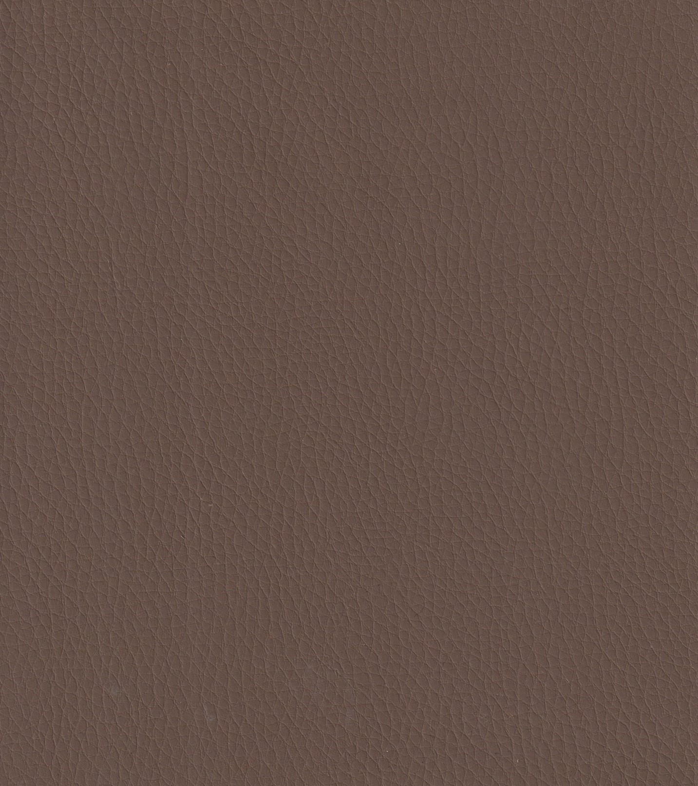Hickory-374